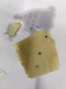 鱼糕黑点问题的成因与食品生产技术优化方案