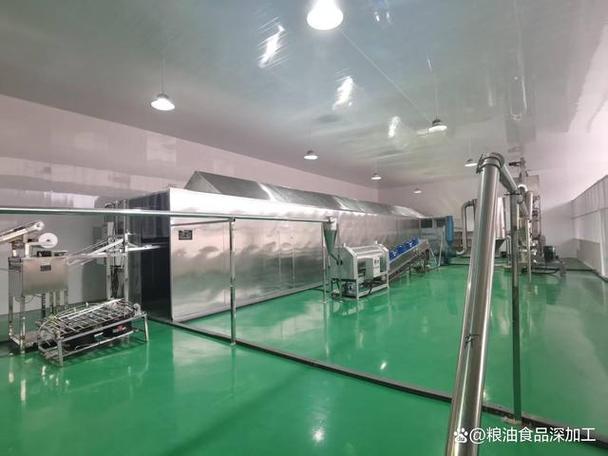 低温熟化膨化设备 工艺与匠心的双重淬炼